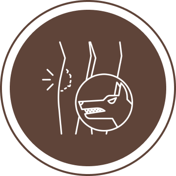 Illustration of a dog biting a leg, depicted in a circular icon with a brown background.